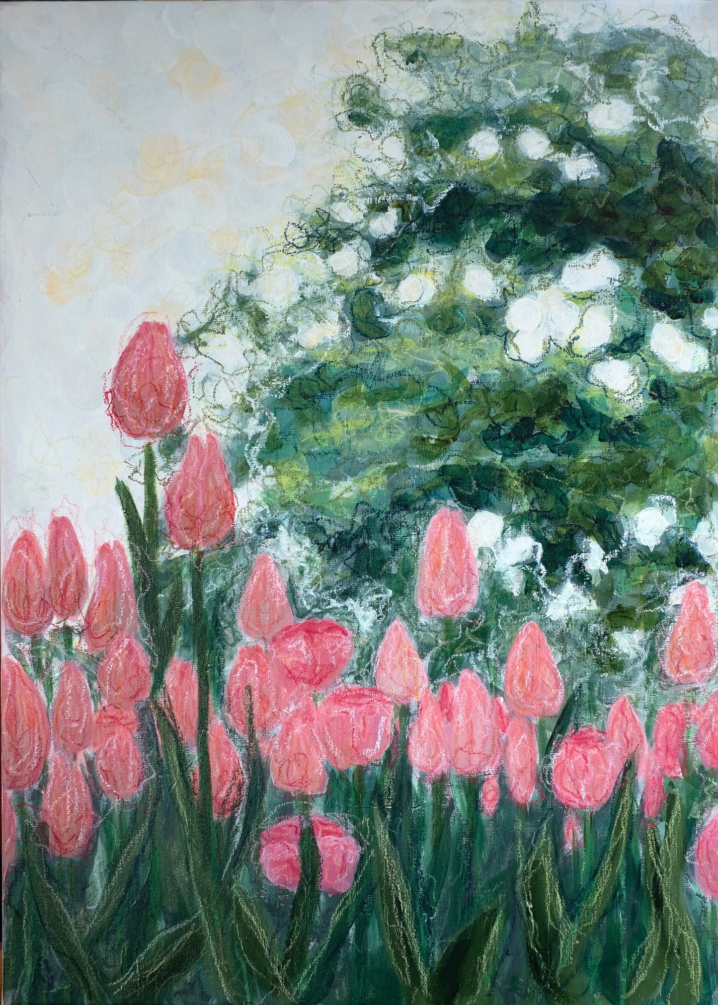 Pink Tulips