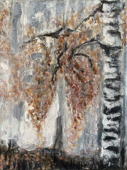 Early Morning Forest 1