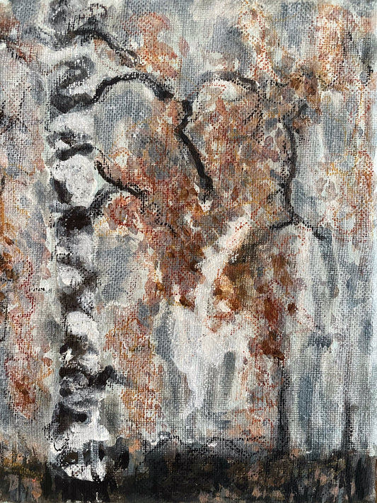 Early Morning Forest 2