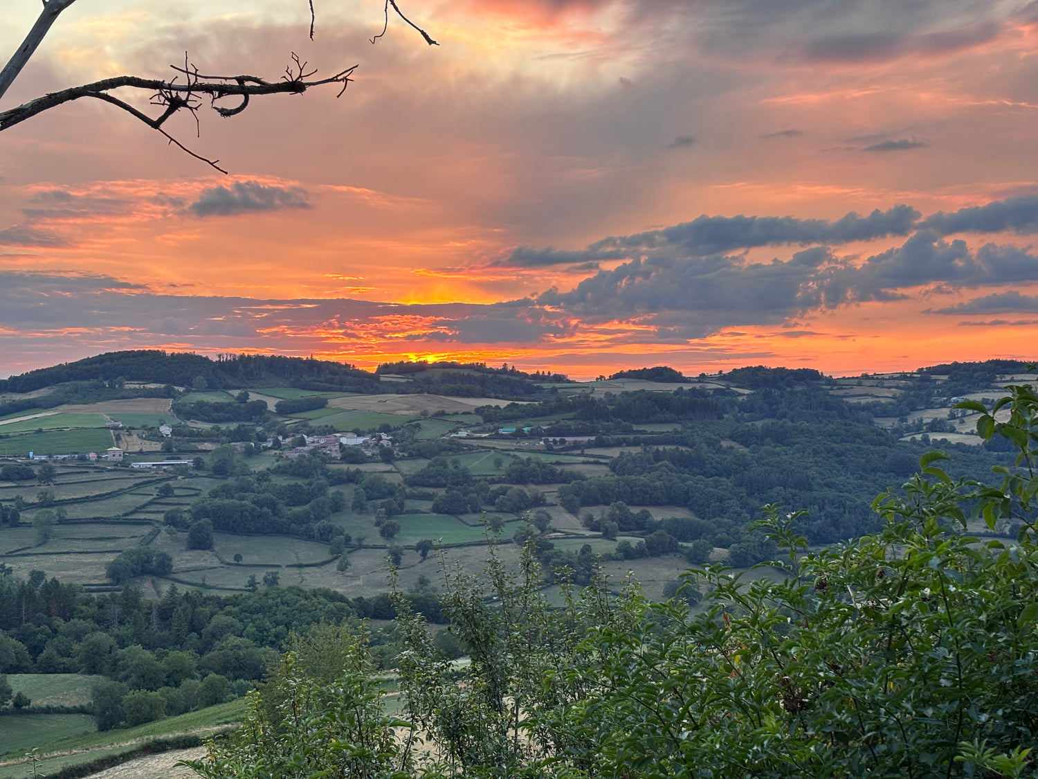 Schildercursus Karin Frenay