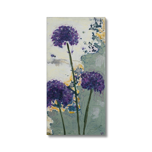 Allium Silver Garden 1 Canvas Print Canvas