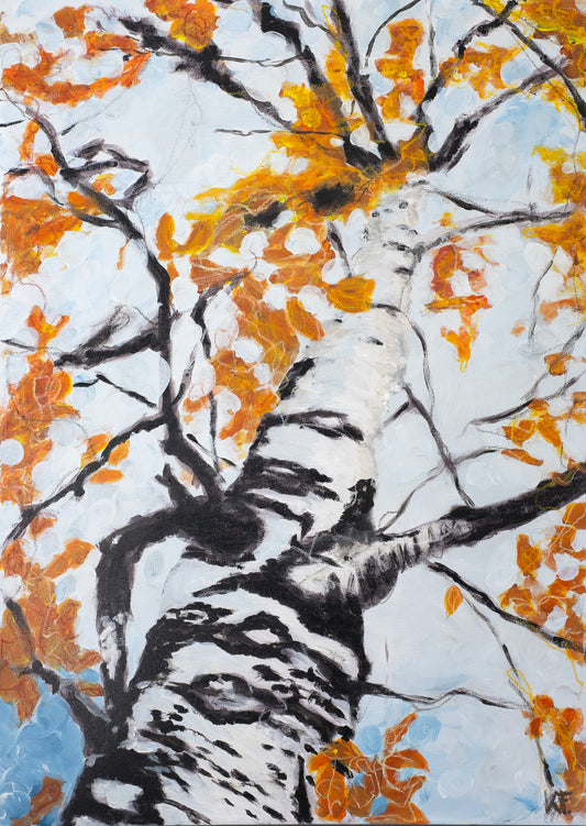 Into the Sky - Stand firmly on the ground and look up to the sky. Under a tree this is a special view. The leaves against the sky. It helps you to dream away, take a deep breath, what is possible?