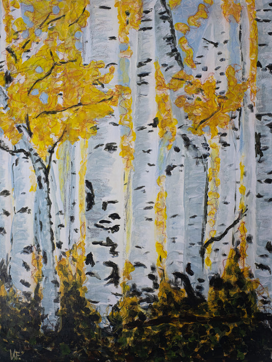 Golden Birch Forest - The pure and fresh look of this painting will light up your space. As if you look out the window and the forest is close at hand.